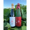 JAL 芋焼酎 鶴空 ギフトボックス 720ml 2本セット つるそら 贈答用 ギフト