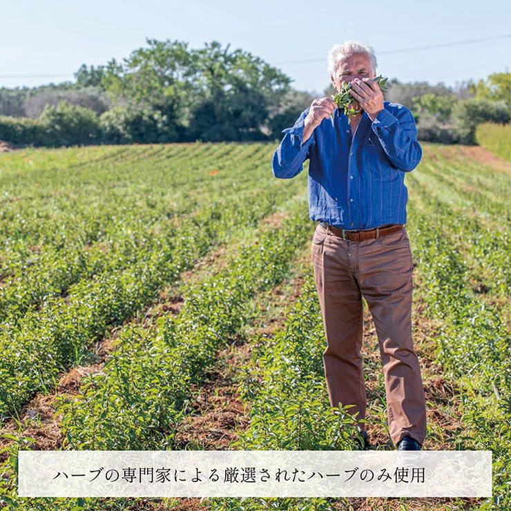 オーガニック ハーブウォーター ミント 500ｍl 48本