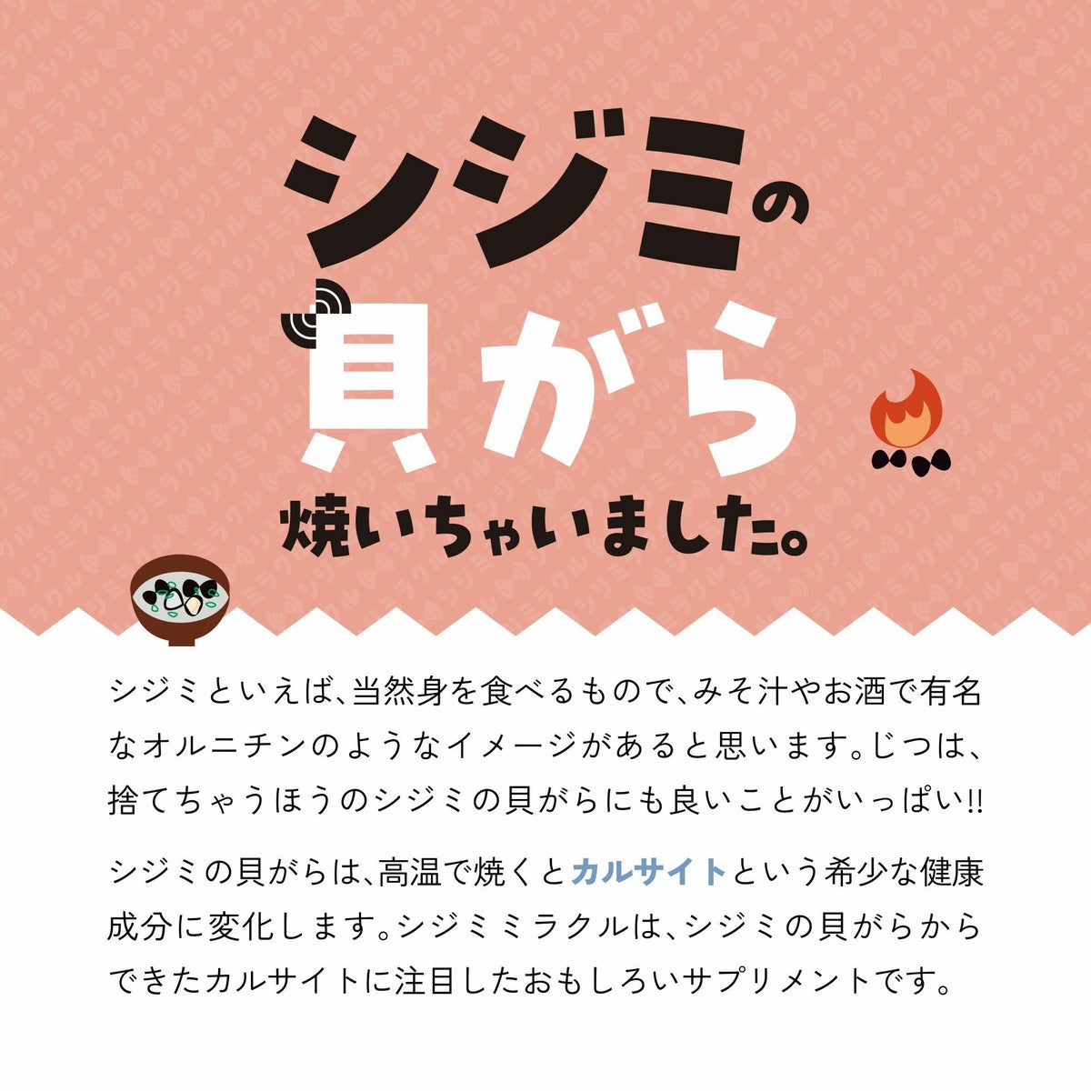 あしたのためのサプリ シジミラクル 1日分（2粒入り） 24個入り