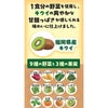 ふくれん 福岡のキウイスムージー 200ml 48本 