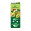 ふくれん 福岡のキウイスムージー 200ml 48本 