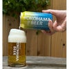 横浜ビール ヨコハマセッションIPA 350ml 6本 