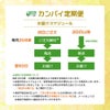 東京酒粋 【カンパイ定期便】 ビール＆チューハイ 350ml 10本セット