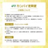 東京酒粋 【カンパイ定期便】 ビール＆チューハイ 350ml 10本セット