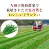 新日配薬品 九州GreenFarm すっきり青汁 160g 15本 1ケース 缶 青汁