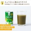 新日配薬品 九州GreenFarm すっきり青汁 160g 15本 1ケース 缶 青汁