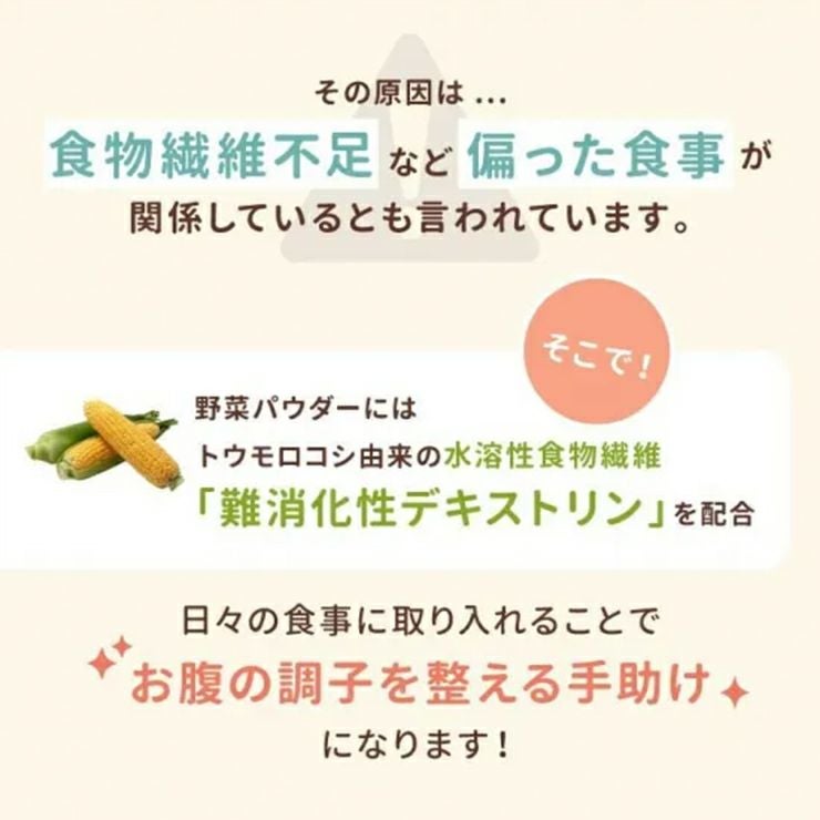 新日配薬品 野菜パウダー 3g 10包 10箱 食物繊維 九州産 野菜 離乳食 介護食