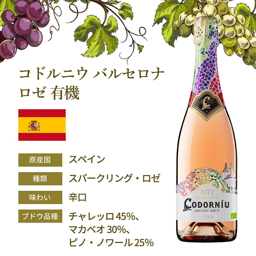 わけありワインセット