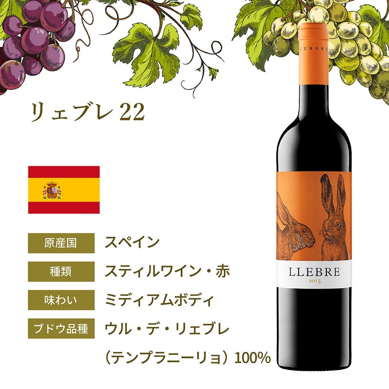 ワインお飲み比べセット