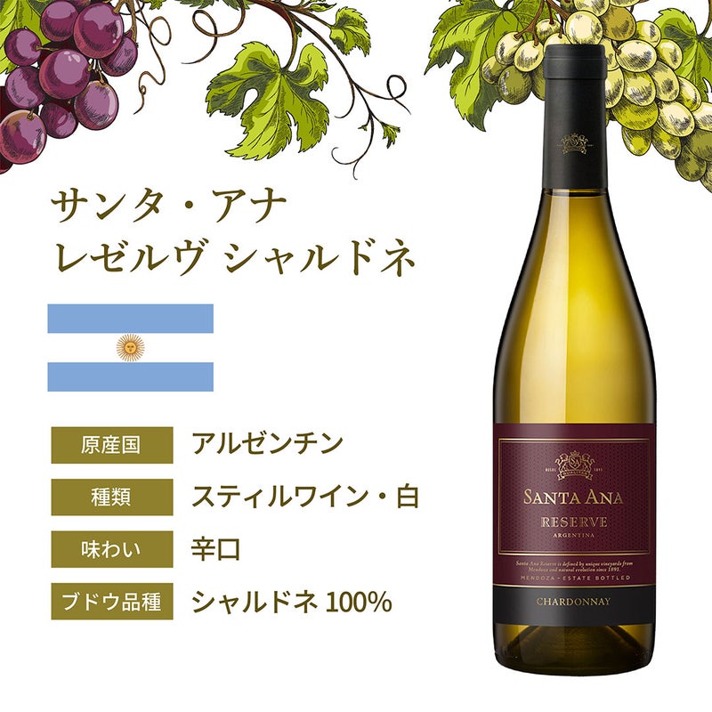 ワインお飲み比べセット