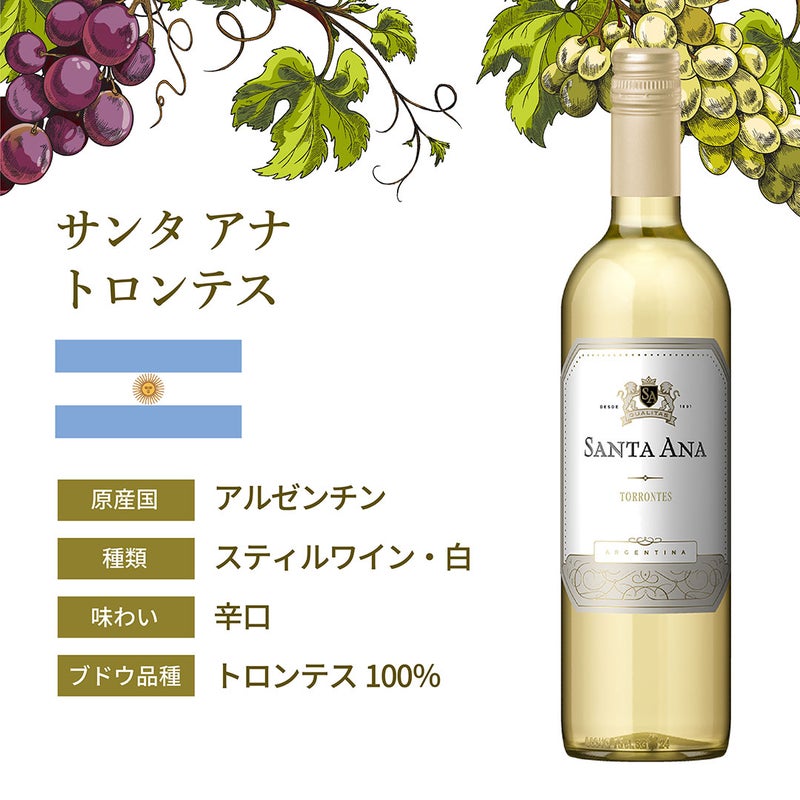 ワインお飲み比べセット