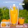 日下農園 日下みかん ストレートジュース パウチ 500ml 6本 化粧箱入