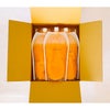 日下農園 日下みかん ストレートジュース パウチ 1000ml 5本 化粧箱入