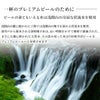 軽井沢ブルワリー THE軽井沢ビール 白ビール (ヴァイス) 350ml 6本 