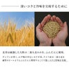 軽井沢ブルワリー THE軽井沢ビール ダーク 350ml 6本 長野 軽井沢