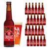 日本ビール 忍者レッドエール 330ml エールビール 瓶 NINJA ニンジャ