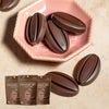 ORGANIC JOY CHOCOLATE ダーク 60g 3袋 日新化工 JAS メール便 ゆうパケット