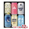 クラフトビール 350ml 12本 セット