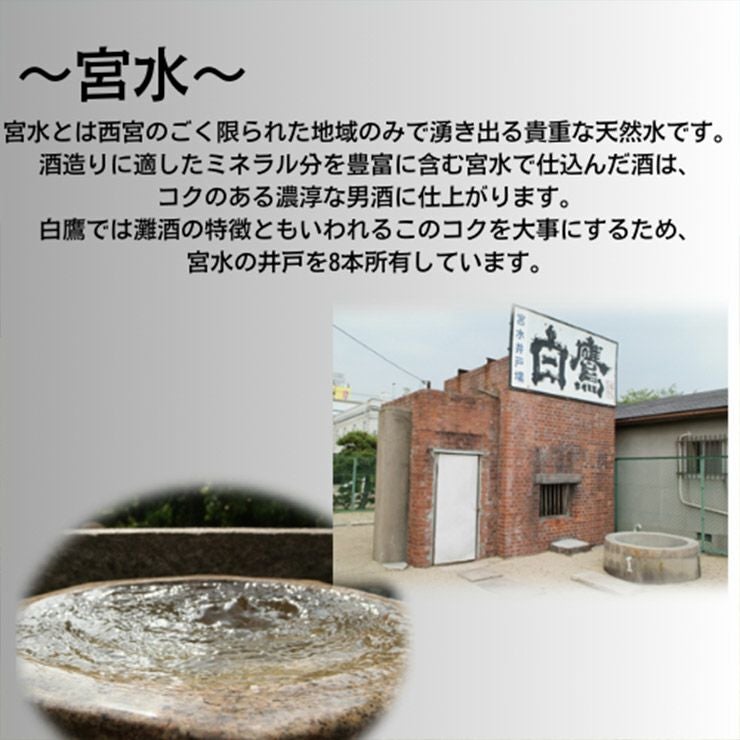 白鷹 特別純米 金松白鷹 720ml 6本
