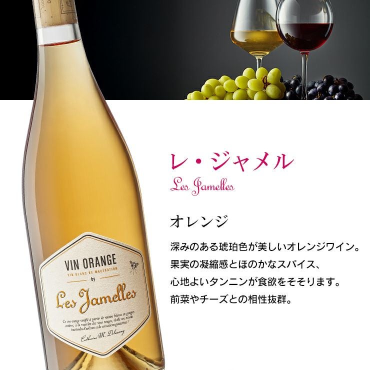 レ・ジャメル ワイン 飲み比べセット