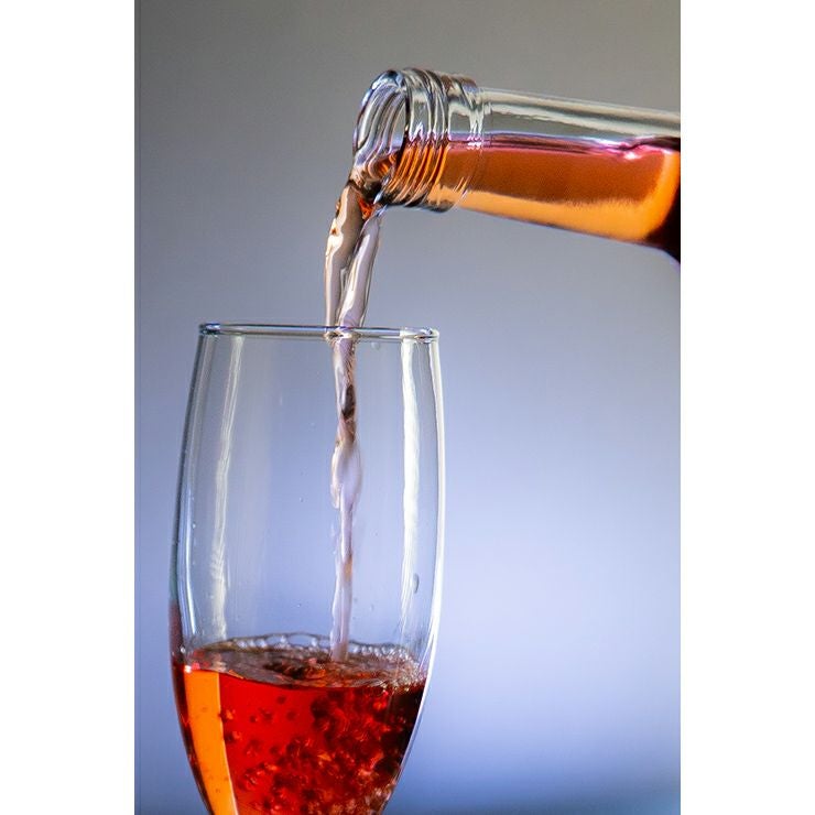  大内安男商店 梅酒 春紅麗 焼酎ベース 500ml 1本 