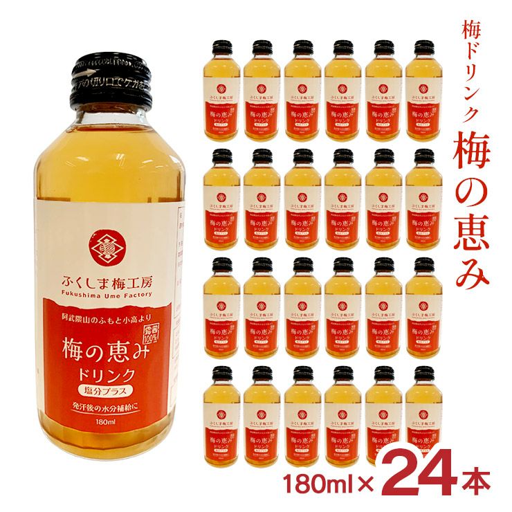 大内安男商店 梅農園 ふくしま梅工房 梅の恵み ドリンク 塩分プラス 180ml 24本 