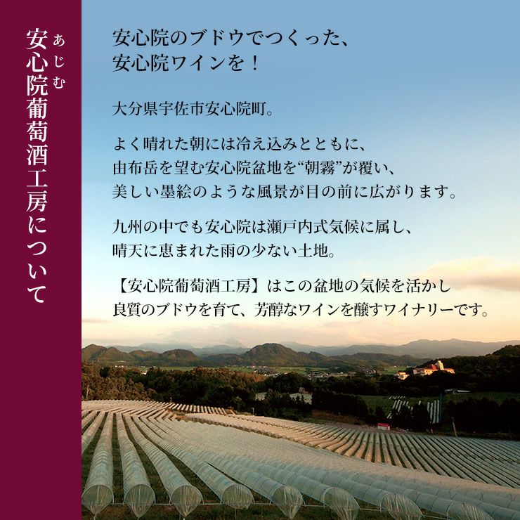 ワイン 三和酒類 安心院ワイン アルバリーニョ 矢津