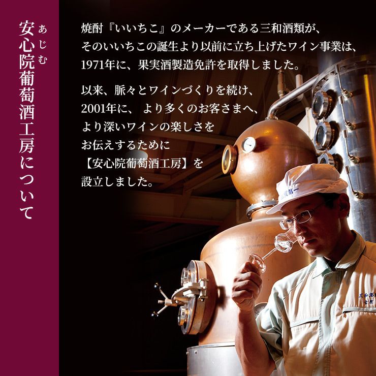 ワイン 三和酒類 安心院ワイン アルバリーニョ 矢津