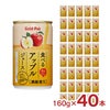ゴールドパック あらごし食べるアップルジュース 160g 40本 