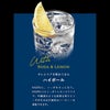 高橋酒造 本格焼酎 白岳 KAORU 星空ボトル 化粧箱入