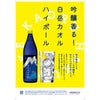 高橋酒造 本格焼酎 白岳 KAORU 星空ボトル 化粧箱入