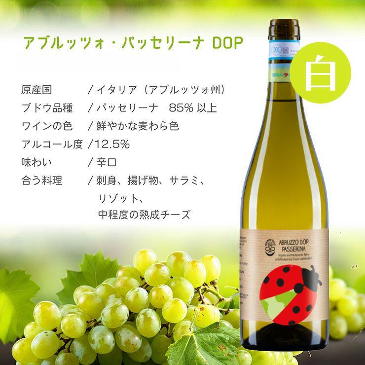 日本酒類販売セブン・ドッツパッセリーナ