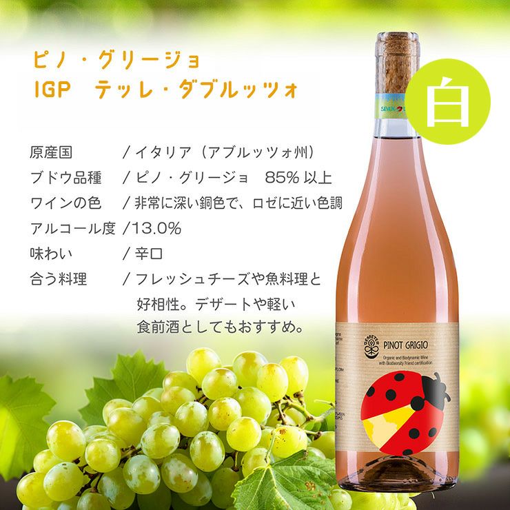 日本酒類販売セブン・ドッツピノグリージョ