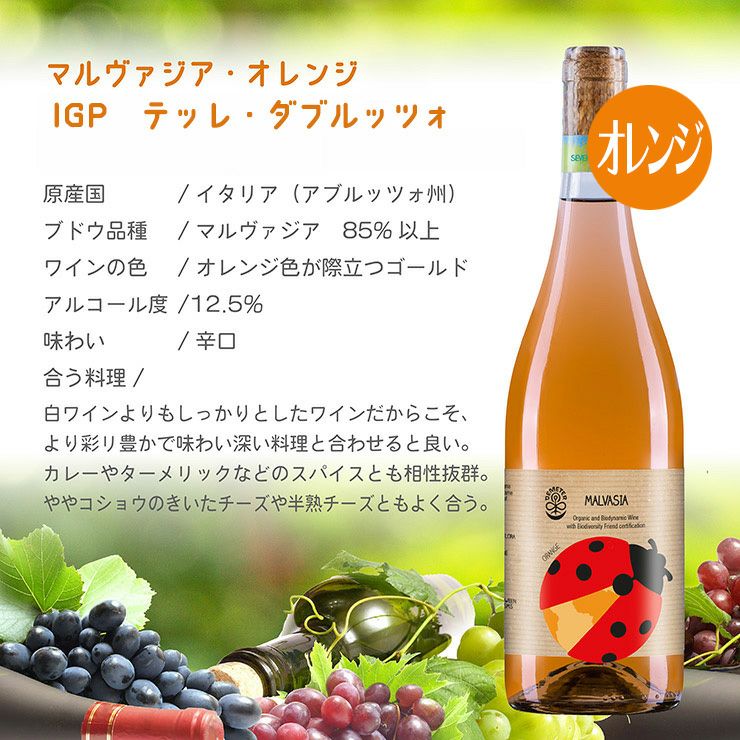 日本酒類販売セブン・ドッツマルヴァジア・オレンジ