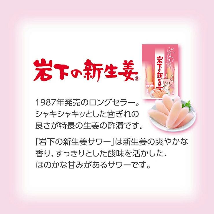 岩下食品 岩下の新生姜サワー 缶 350ml