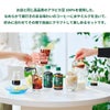 スターバックス 濃縮 アイスコーヒー クラフト ギフトボックス SC-30M 