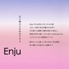 花から造るお酒 Enju TSUTSUJI 500ml 1本