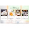 アイクラリス タイムレスウォーター 2L 12本