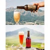 みなみ阿蘇ビール 2種 4本セット 1320ml 