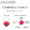 日本ワイン 都農ワイン キャンベルアーリー ロゼ 