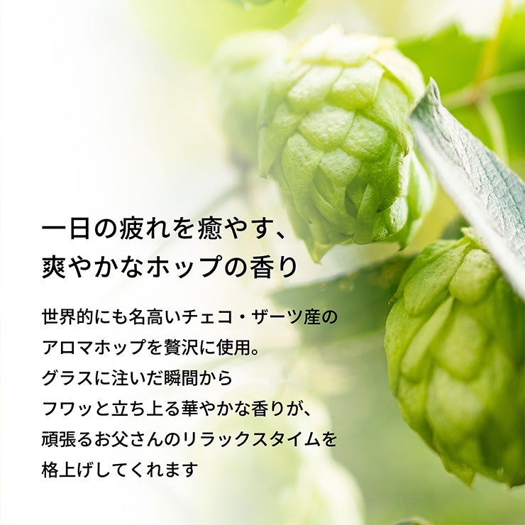 東京酒粋 オリジナルビール 3本セット 