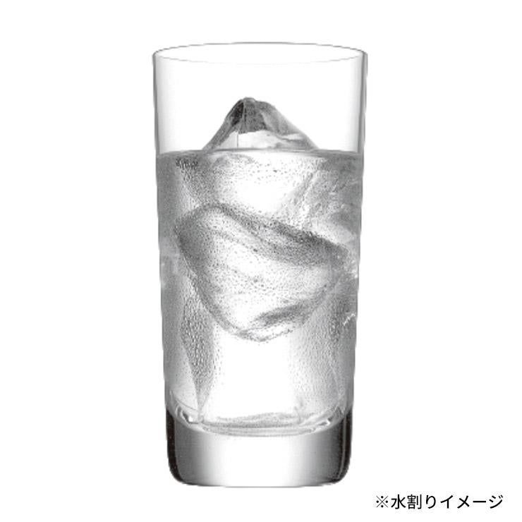 三和酒類 いいちこ FSp フラスコスペシャル