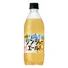 サントリー天然水 特製ジンジャーエール 500ml 24本