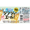 サントリー天然水 特製ジンジャーエール 500ml 24本