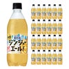 サントリー天然水 特製ジンジャーエール 500ml 24本
