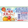 サントリー天然水 きりっと果実スカッシュ！ オレンジ＆マンゴー 500ml 24本