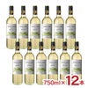 アウトレット ワイン サンタ・アナ クラシック トロンテス 白 750ml 12本