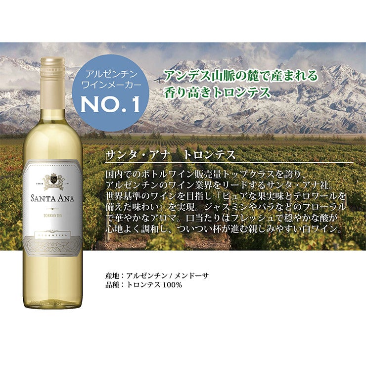 アウトレット ワイン サンタ・アナ クラシック トロンテス 白 750ml 12本