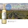 サンタ・アナ クラシック トロンテス 白 750ml 6本