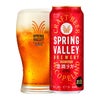 キリン スプリングバレー 豊潤ラガー 496 500ml 24本